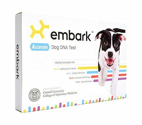 Embark Dog DNA Kit -sarjapaketissa Amazon Light Day on salamatarjous